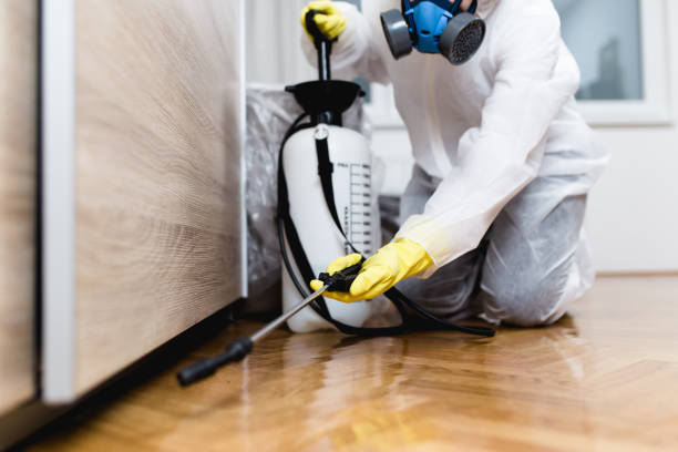 Best Wasp Removal Services  in Muttontown, NY