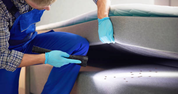 Best Pest Control Cost  in Muttontown, NY