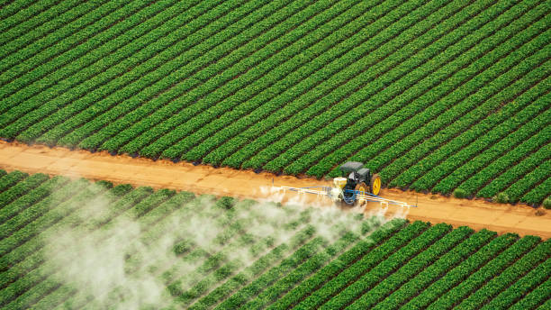 Best Ant Control Services  in Muttontown, NY
